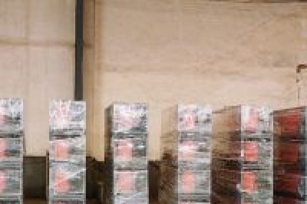 KNDMAX WS25液压劈木机装箱